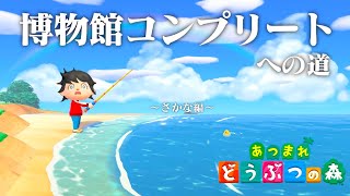 【生放送】あつまれどうぶつの森「博物館コンプリート」目指す配信〜さかな編〜 [upl. by Adeuga]