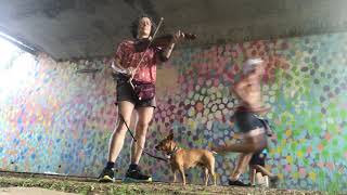 Crapshooters Rag  Miss Moonshine played under Beltline bridge with chihuahua at guard [upl. by Pryce]