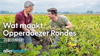 Wat maakt de Opperdoezer Ronde zon bijzondere aardappel  Lekker uit Nederland  Allerhande [upl. by Tiebold976]