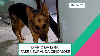 CINOMOSE FASE NEURAL  Parte 02  DIÁRIO DA LYRA  PARALISIA  CONVULSÕES  Vovó Joaninha Külh [upl. by Yniar740]