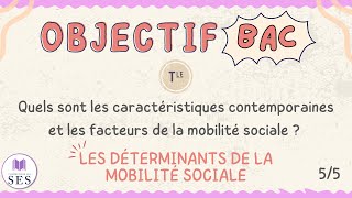 BAC Cours Mobilité Sociale  Les déterminants de la MS [upl. by Kiel]