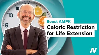 Naturally Boosting AMPK with Caloric Restriction for Life Extension [upl. by Amelita]