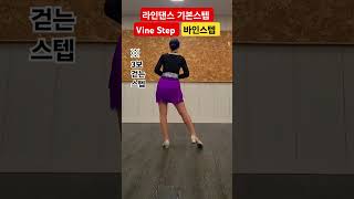 VineStepGrapevine 바인스텝라인댄스기본스텝 [upl. by Ecilef]