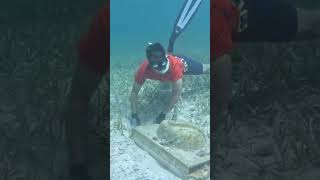 Rare view of under ocean🌊🌊🤣 funny viralvideo youtubeshorts underwaterworld [upl. by Sucramad]