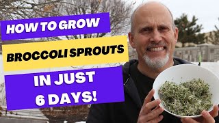 How to Grow Broccoli Spouts in 6 days [upl. by Kati]