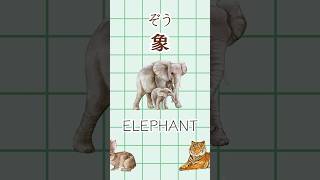 Basic Japanese  Animal Names [upl. by Smoht]