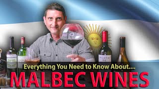 What is MALBEC What You NEED TO KNOW about this Wine [upl. by Arick]