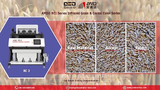 AMD® RCI3 NIR Grain Optical Sorter Processing Machine Price for PeeledHulled Oat Seeds Sorting [upl. by Inan452]