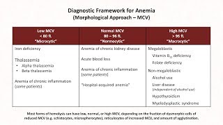 Anemia Lesson 1  Diagnostic Frameworks [upl. by Veno]