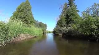 The Sturgeon River Cheboygan Country Michigan [upl. by Schrick858]