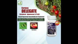 Top Insecticide for Controlling Pests ThripsLeafMinerwhitefly [upl. by Indys181]