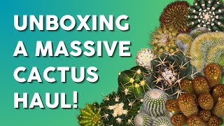 A Collectors Dream Unboxing Over 40 Unique Cacti 🌵 [upl. by Oralee635]