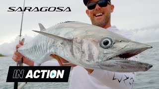 Shimano Saragosa SWA topwater action with Reel Destinations [upl. by Refotsirhc223]