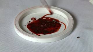 Cochineal Bugs Create Red Dye A Moment in Science YouTube [upl. by Nette]