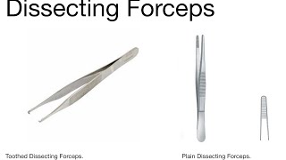 Knowledge Bytes uploaded Dissecting Forceps  Types  Uses  Simplified 🩺 [upl. by Yran]