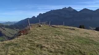 Panoramablick vom Spicher 1520 Meter im Appenzeller Land [upl. by Jehoash911]