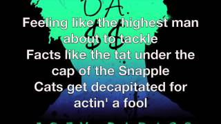 Joey BadA Like Me lyrics [upl. by Anitsyrc]