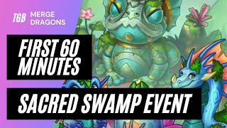 Merge Dragons Sacred Swamp Event First 60 Minutes [upl. by Eenalem]