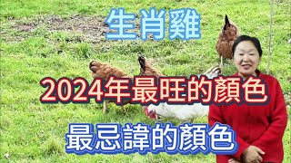 生肖雞！2024【龍年】最旺的顏色是什麼？屬雞人在2024年最忌諱什麼顏色呢？用對顏色！2024一整年都有好運勢！讓自己錢財大旺！順順利利！生肖 顏色 運勢 [upl. by Gram]