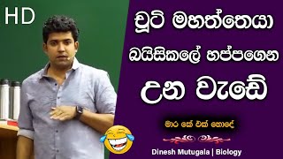 ඉලඇට ඇනිලා පෙනහලුවල 😲  Dinesh Muthugala  dineshmuthugala muthugalasir [upl. by Layman]