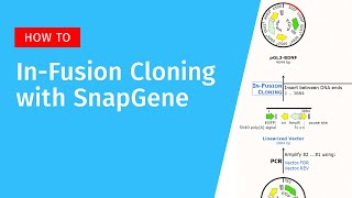 InFusion Cloning with SnapGene [upl. by Kelli]