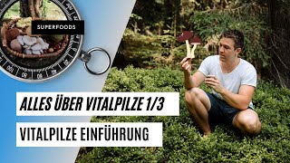 Eine kleine Einführung in die Welt der Vitalpilze 🌲🍄 [upl. by Edelstein]