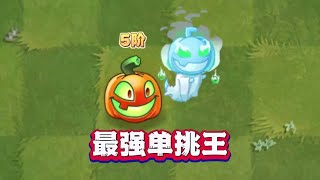 植物大战僵尸：5阶杰克南瓜灯：1V1概念神！植物大战僵尸2 [upl. by Haslett]