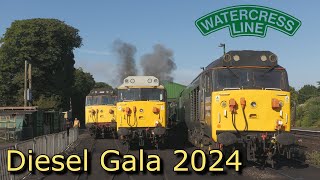 Watercress Line Diesel Gala 2024  The Highlights [upl. by Maroj392]