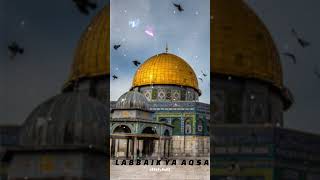 AYE ARZEFALASTIN TUJHE NABIYO NE NAWAZA labbaik ya Aqsa shorts Mubarak official 0002 [upl. by Aslin]