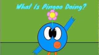 What Is Pingoo Doing Intro [upl. by Nohsav305]