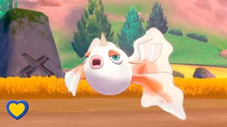 HOW TO GET Goldeen in Pokémon Sword and Shield [upl. by Beatrice]