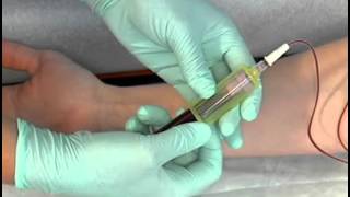 Sample Procedure  Venipuncture Butterfly Method [upl. by Naujtna752]