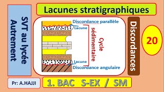 Lacunes stratigraphiques discordances et surfaces durcies [upl. by Kucik]