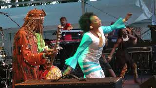 Oumou Sangaré  Djoukourou  LIVE at Afrikafestival Hertme 2017 [upl. by Merriott]