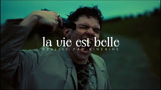 MDNS  La Vie Est Belle [upl. by Llecrup81]