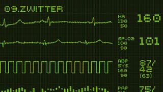 Rammstein  Zwitter Instrumental Cover Remastered Live Version [upl. by Rossner]