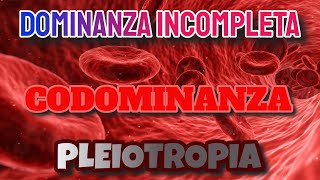 Dominanza incompleta codominanza pleiotropia 🧬 [upl. by Onnem]