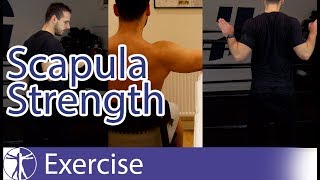 Scapula Strengthening Exercises  Early Shoulder Rehab [upl. by Airahs131]