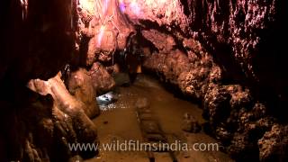 Test your limits inside the Mawsmai caves Meghalaya [upl. by Temme618]