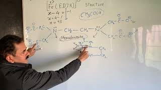 Coordination Compound  FeEDTA Structure  Iron chelate BSc neet chemistry cuet jee [upl. by Cherye]