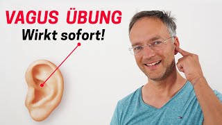 VAGUSNERV MASSAGE  Stress und Unruhe SOFORT auflösen [upl. by Llenrap]