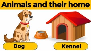 Animals and their Homes  Animals Home  Animals And Their Homes For Kids  House Of Animals [upl. by Ranjiv741]