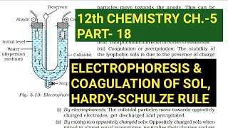 12th Chemistry Ch5Part18Electrophoresis amp Coagulation of solHardySchulze ruleStudy with Farru [upl. by Artenra448]