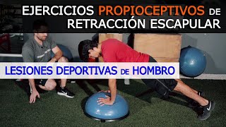 Prueba estos 🤸 Ejercicios Propioceptivos de RETRACCIÓN ESCAPULAR y recupérate de tu lesión de hombro [upl. by Viguerie923]