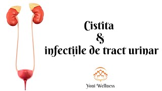 S2 Ep 56  Cistita ṣi infecțiile de tract urinar  Simptome  Diagnostic  Tratament  Prevenție [upl. by Ecyor46]