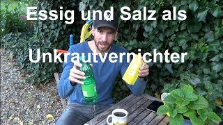 Unkrautvernichter selber herstellen Essig amp Salz erlaubt Warum ihr es lassen solltet Alternativen [upl. by Acilgna]