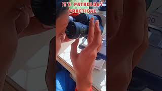 pathology practical Ft 2nd year MBBS neet aiims neet motivation shorts [upl. by Leola]