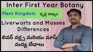 Liverworts and Mosses Differences  లివర్ వర్ట్స మరియు మాస్ మద్య బేధాలు [upl. by Akedijn694]