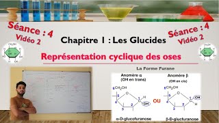 Séance 4  Vidéo 2  cyclisation des aldoses  formation de furanoses [upl. by Hobbs]