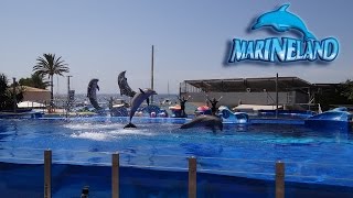 Mallorca  Marineland Dolphin Show 2015 HD 1080p [upl. by Maribelle]